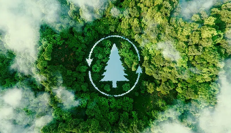 Protection des ressources forestières