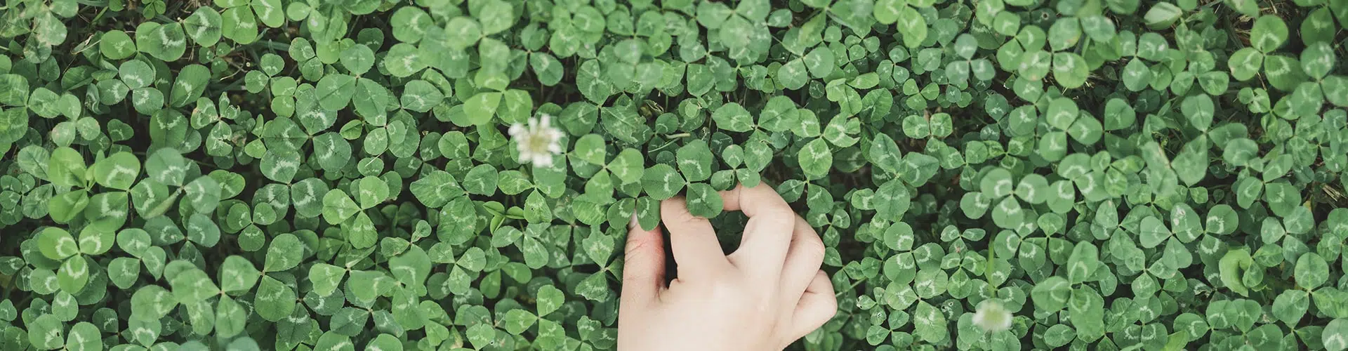 Conseils nature, soin et famille par Le Trèfle