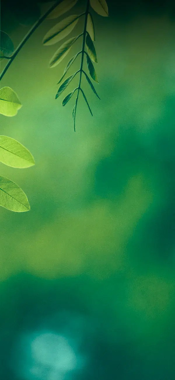 Background image trèfle